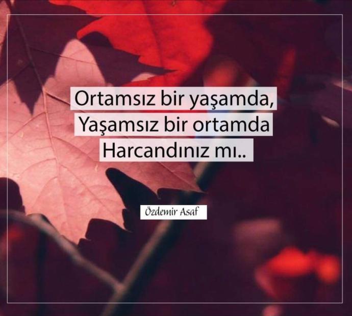 Ortamsız bir yaşamda, yaşamsız bir ortamda harcandınız mı?