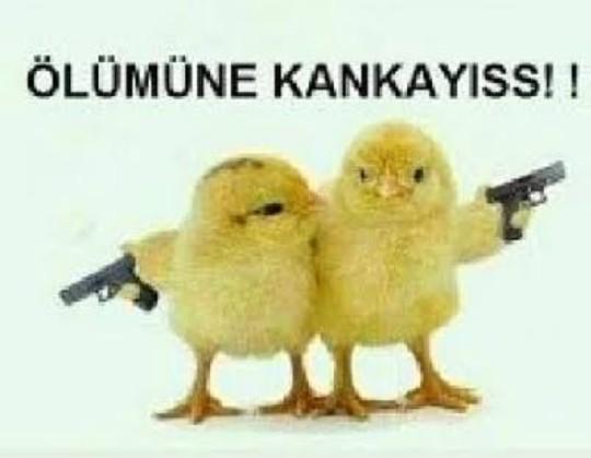 Fazla kanka var mı?