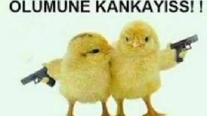 Fazla kanka var mı?