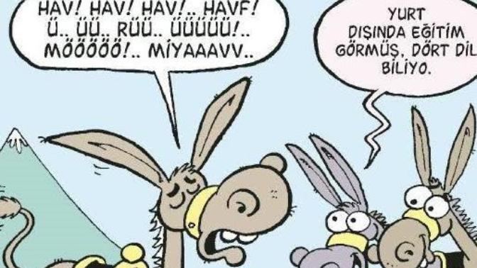 Kaç dil biliyorsunuz?