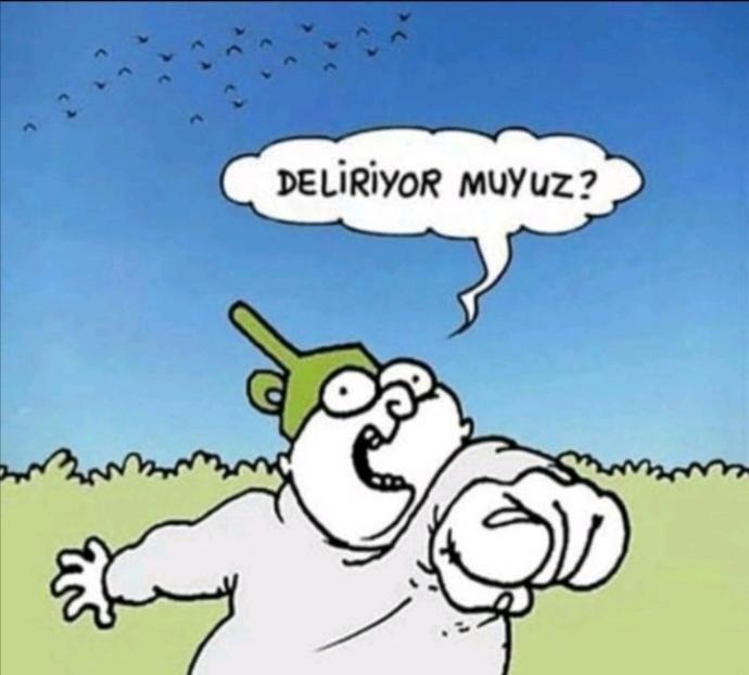 Ne yapıyorsunuz cümleten deliriyor muyuz?