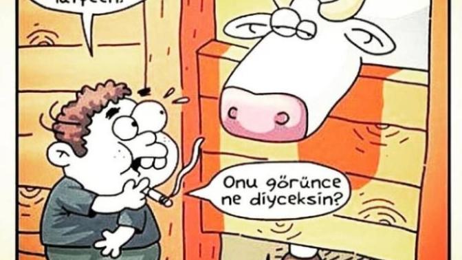 Sigara kullanıyor musunuz?