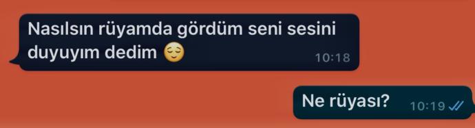 İnsanlar sürekli yazıp, halinizi hatırınızı soruyorsa bu meraktan mı, sevgiden mi, başka bir şeyden mi 🧏🏻♀️?