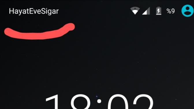 Hayat eve sığar mı?