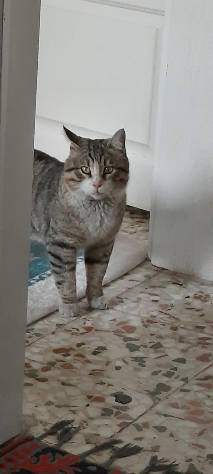 En sevdiğiniz arkadaşınızı kaça satarsınız?