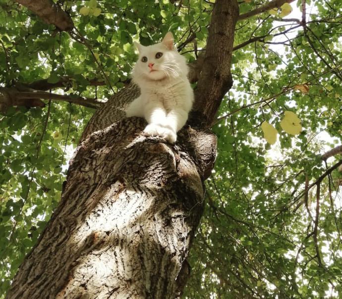 Galerinizden sevdiğiniz bir fotoğrafı paylaşır mısınız?