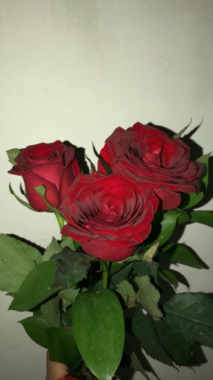 Galerinizden sevdiğiniz bir fotoğrafı paylaşır mısınız?