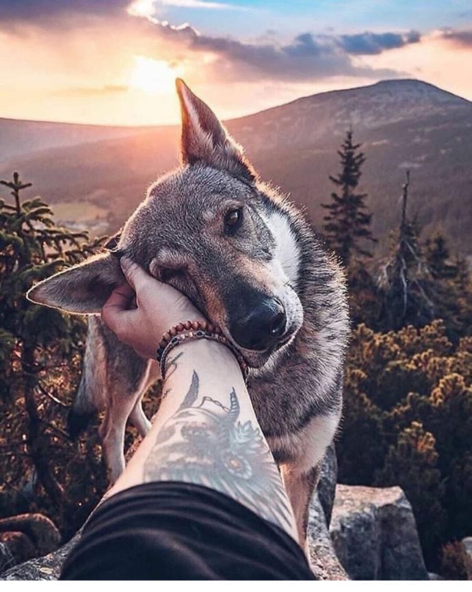 🐕