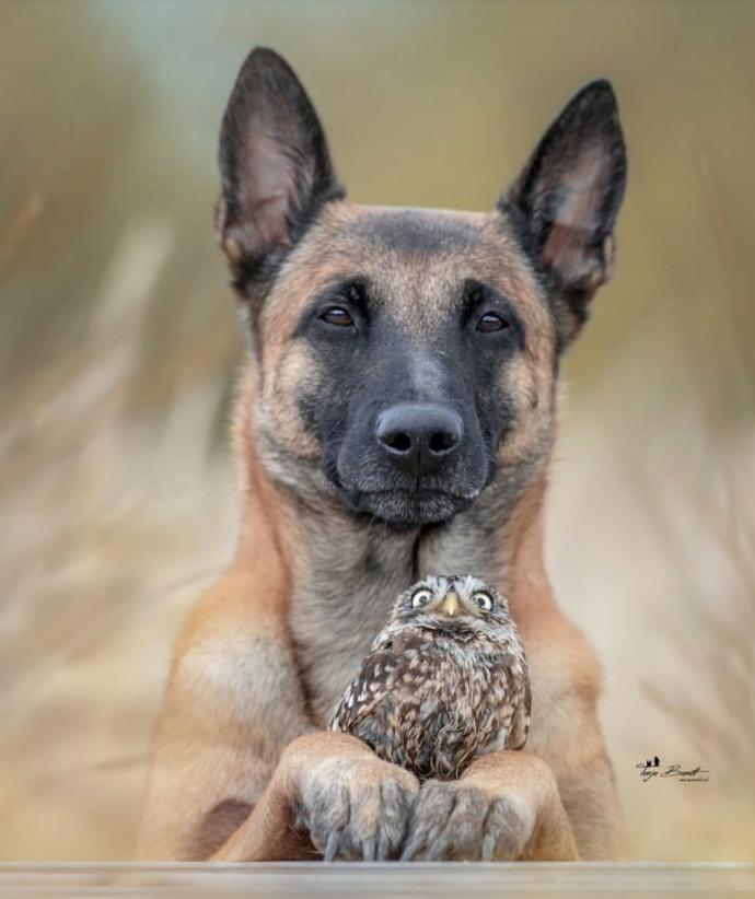 🐕