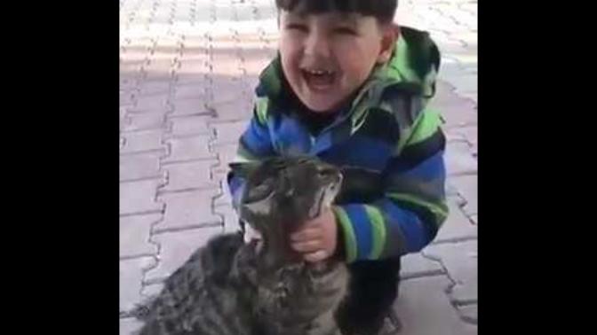 "Ben de büyüyünce kedi olacağım" diyen çocuk hakkında ne düşünüyorsunuz?