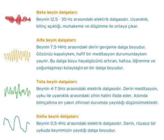 İmajinasyonda ne kadar iyisiniz?