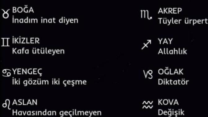 Sen nasıl bir baş belasısın?