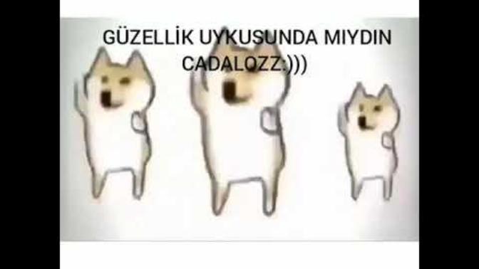 Napıyorsunuz cimcimeler?