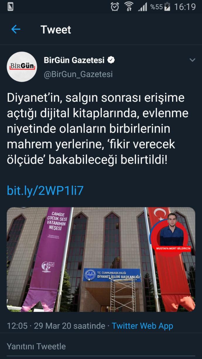 Ne düşünüyorsunuz (fotoğraflı)?