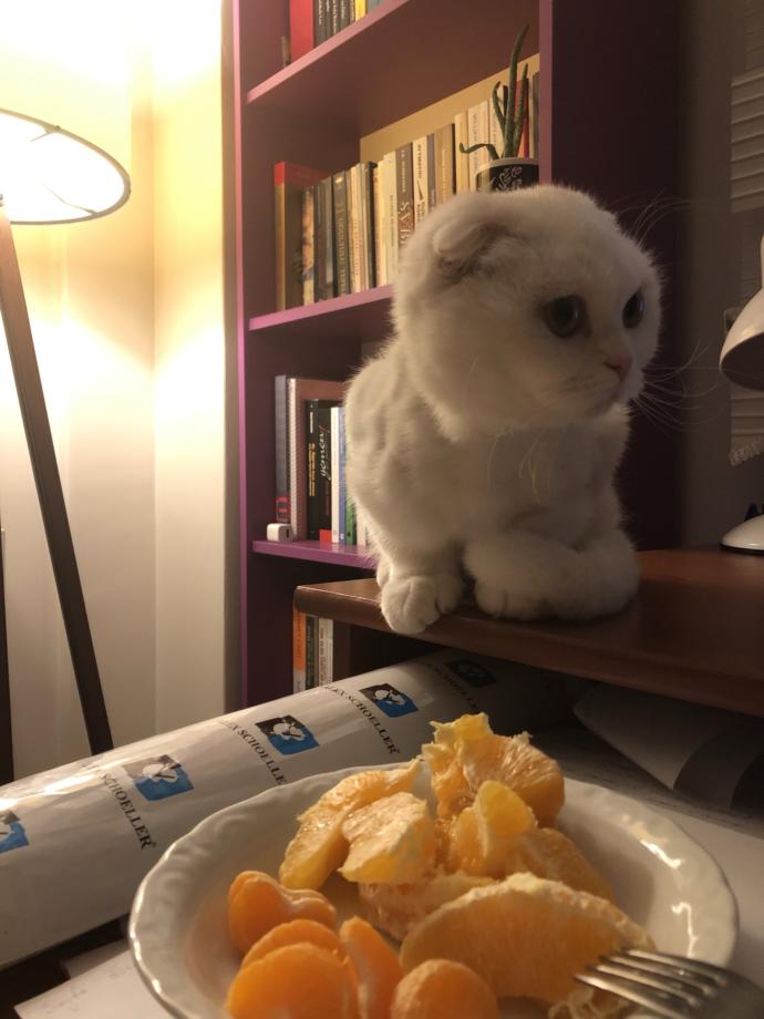 Kendi kendime romantizm yaşıyorum, sizde durum ne?