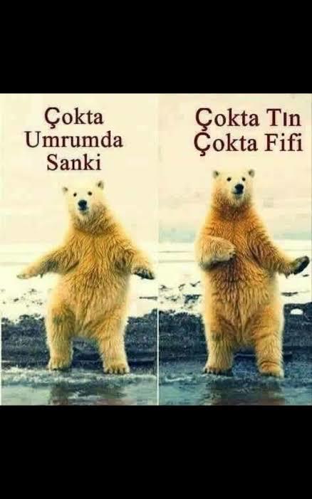 Attığınız mesaja görüldü atıldığında ne yapıyorsunuz?