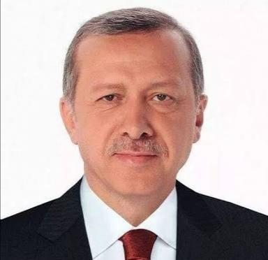 RTE sizce ülkeyi nasıl yönetiyor?