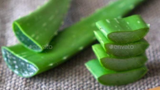 Aloe vera sivilceye ve akneye iyi gelir mi?
