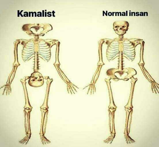 Türk erkeğinin kafası en çok neye çalışır?