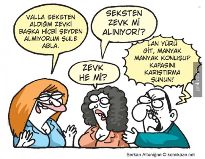 Seks anında kadın zevk alır mı?