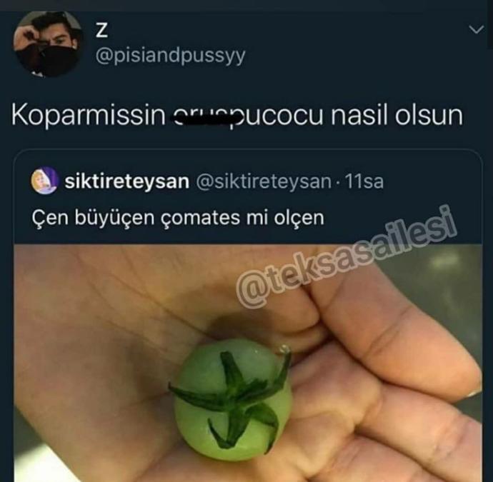 Galerinizden herhangi bir fotoğrafı paylaşır mısınız?