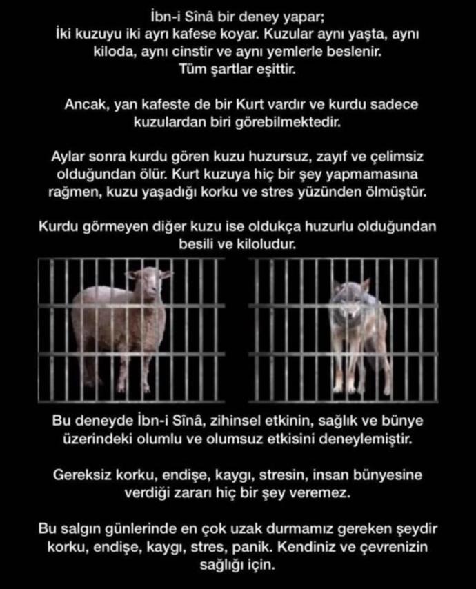 Bu sıkıntılı karantina döneminde uzak durmamız gereken şeyler nelerdir?