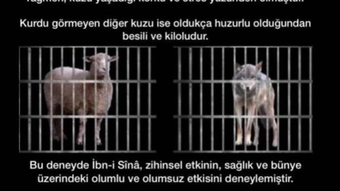 Bu sıkıntılı karantina döneminde uzak durmamız gereken şeyler nelerdir?