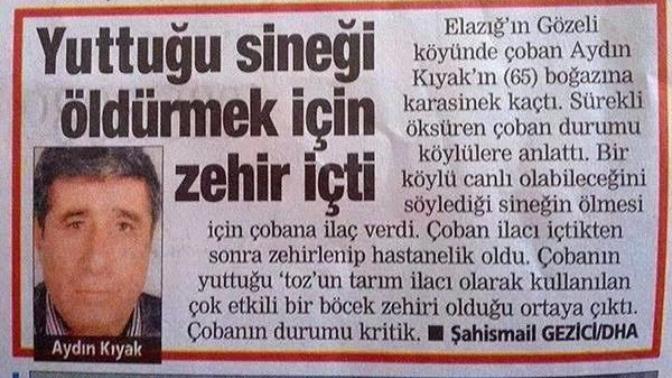 📰📺Okuduğunuz veya izlediğiniz en absürt haber neydi?