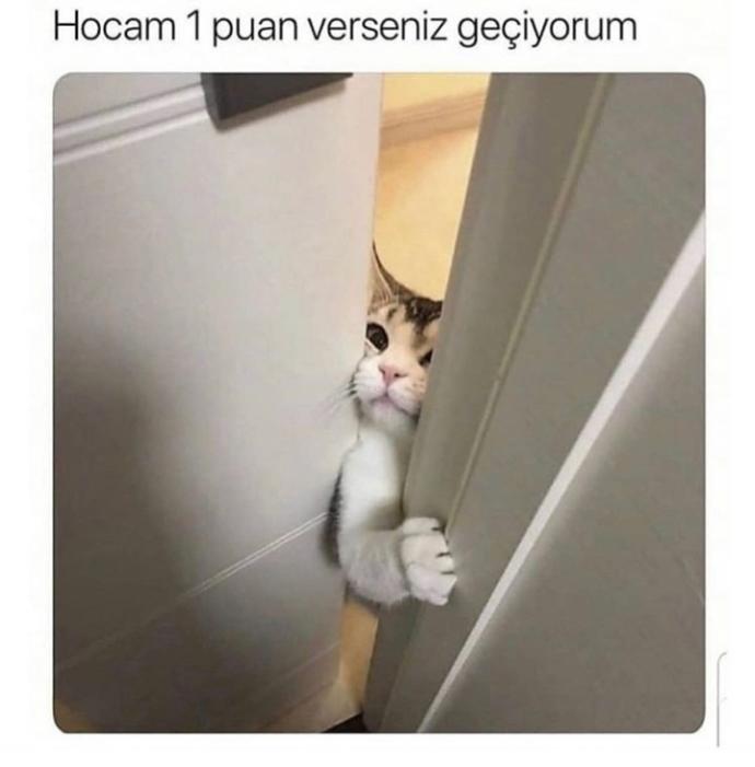 Sizi ağlatabilecek şeyler nelerdir?