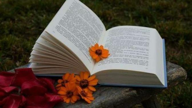 Çoğu insan "Hayatımı yazsam roman olur" der. Peki herkes kitap yazabilir mi?