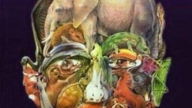 Bir dikkat sorusu soruyorum hadi fotoğrafa bakın?