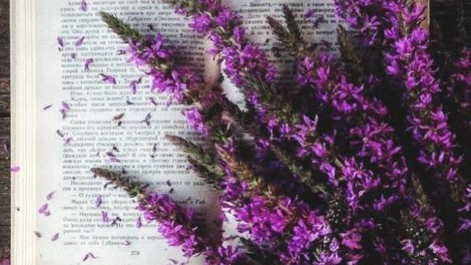 Kitap okumak insana ne kazandırır?