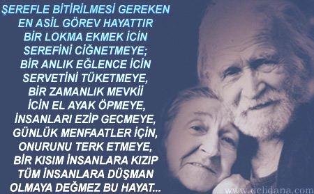 İnsan dediğin nedir?