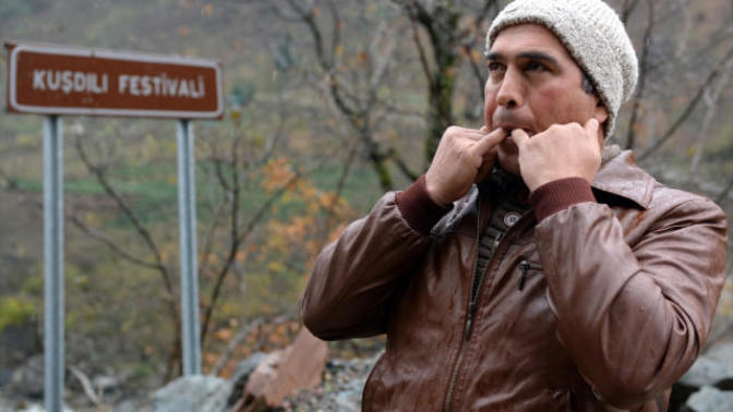 Kuşça :) Kuş dili nasıl konuşuluyor?