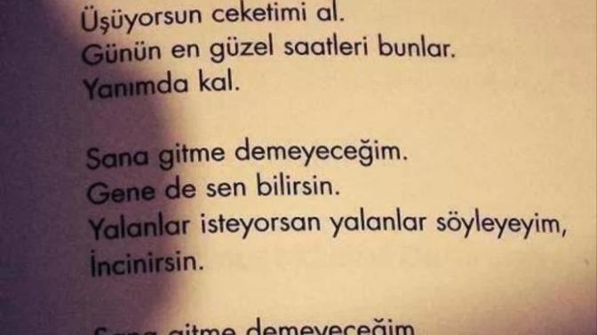 En sevdiğiniz şair kim?