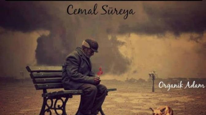Neyin yorgunluğunu taşıyorsun?