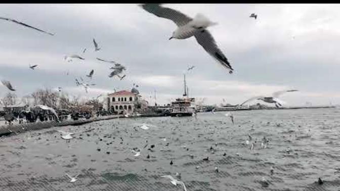Geceye bir söz bırakalım mı?