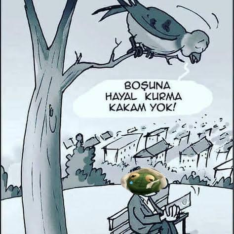 Hayallerinizi Biliyor Musunuz 🤔 ?