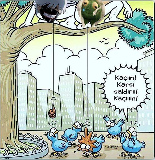 Hayallerinizi Biliyor Musunuz 🤔 ?