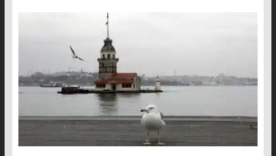 Evet gençler bu sokağa çıkma yasağından mutevellit evde ne yaparak zaman geçiriyorsunuz?