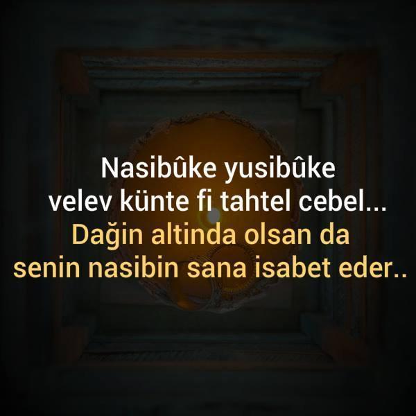 Arap atasözü ..