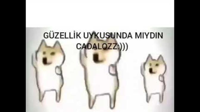 Günaydın cimcime hala uyanmadın mı?