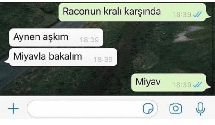 Sevgilinize karşı kedi gibi mi olursunuz, aslan mı?