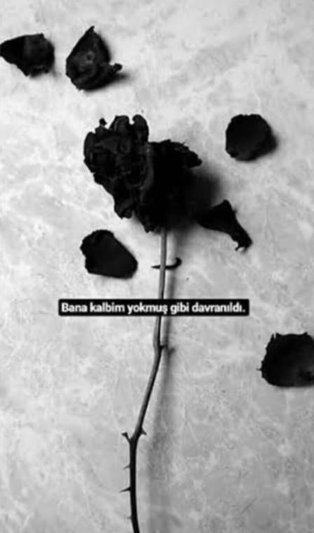 Sana hiç kalbin yokmuş gibi davranırdı mı?