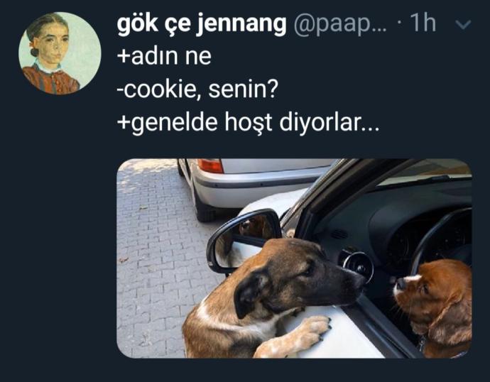 Köpek olsaydın adın ne olurdu tahmini?
