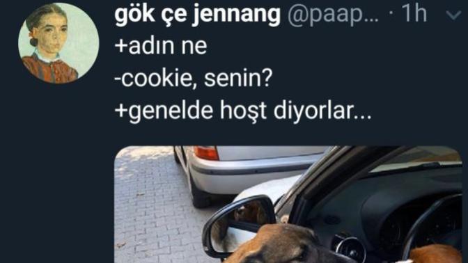 Köpek olsaydın adın ne olurdu tahmini?