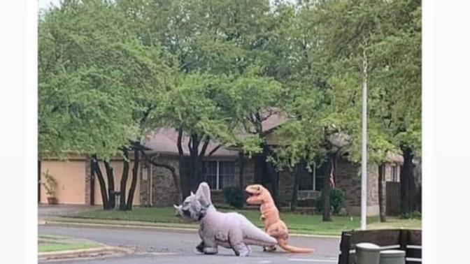 Dinozorlar Geri Gelmiş Doğru mu?