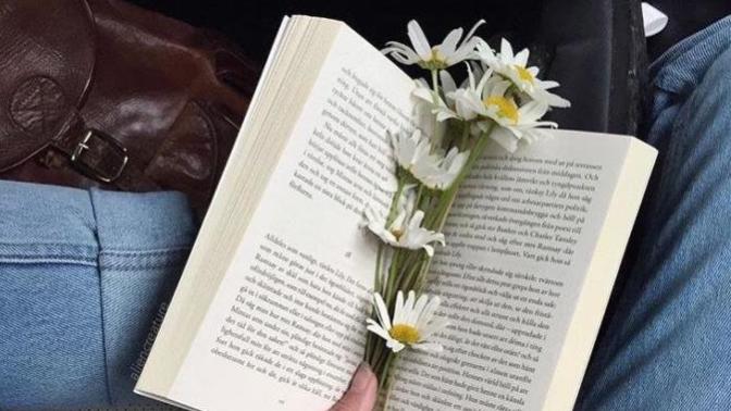 Hiç kitap arasında çiçek kuruttunuz mu?