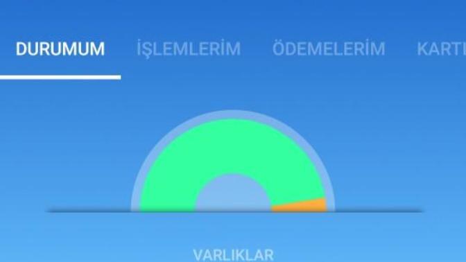 Birikim yapıyor musunuz?