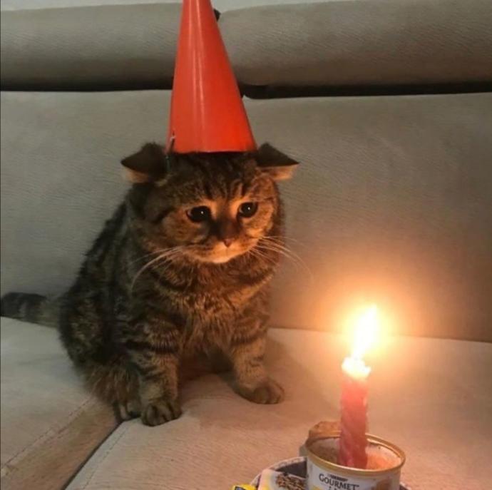 Çok minnoşsun sen. 😍